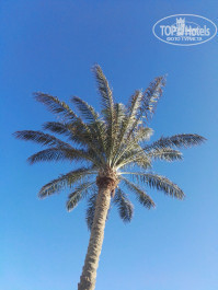 Jewels Sahara Boutique Resort 4* - Фото отеля