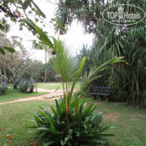 Cinnamon Bentota Beach 4* - Фото отеля