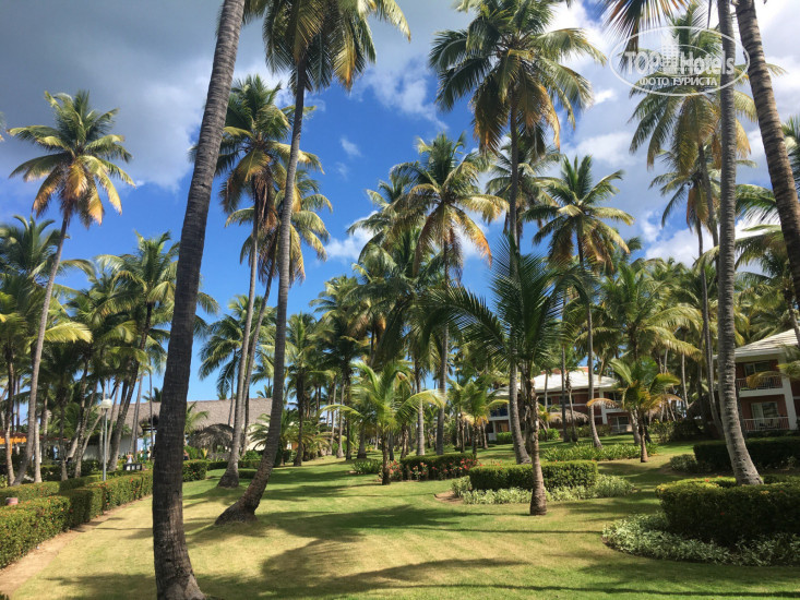 Grand Palladium Punta Cana Resort & Spa 5* - Фото отеля