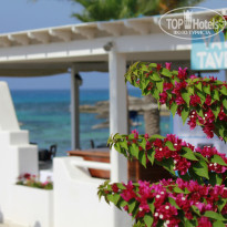 Adams Beach 5* - Фото отеля