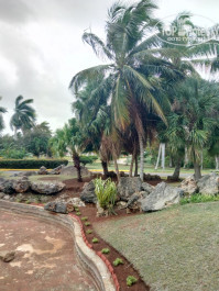 Brisas Del Caribe 4* - Фото отеля