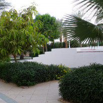 Dessole Royal Rojana Resort 5* - Фото отеля