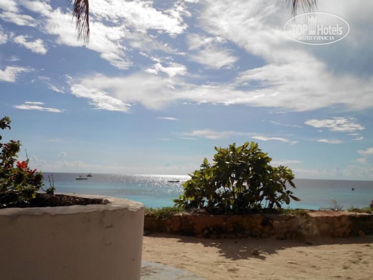 Новые добавленные фото туристов в Paradise Beach Bungalows