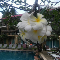 Baan Karon Resort 3* - Фото отеля