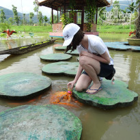 Vinpearl Resort & Spa Nha Trang Bay 5* на экскурсии, кормим рыб из соски - Фото отеля