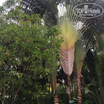 Centara Karon Resort Phuket 4* - Фото отеля