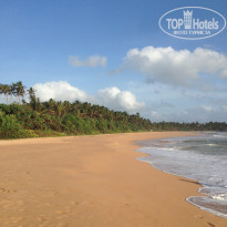 Cinnamon Bentota Beach 4* - Фото отеля