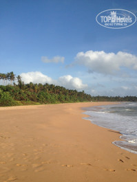 Cinnamon Bentota Beach 4* - Фото отеля