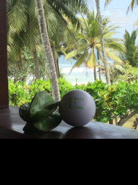 Cinnamon Bentota Beach 4* - Фото отеля
