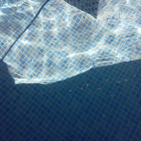 Ribera Resort & SPA 4* Насекомые в бассейне - Фото отеля