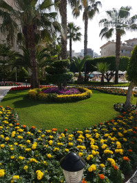 Grand Seker 4* - Фото отеля