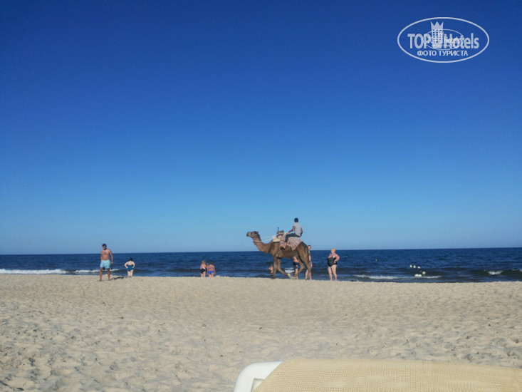 Iberostar Averroes 4* - Фото отеля