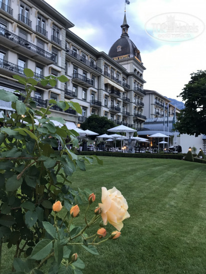 Фотографии отеля  Victoria - Jungfrau Grand hotel & Spa 5*