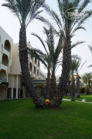 Iberostar Averroes 4* - Фото отеля