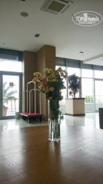 Bridge Resort (Бридж Резорт) 4* - Фото отеля