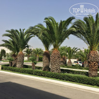 Iberostar Averroes 4* - Фото отеля
