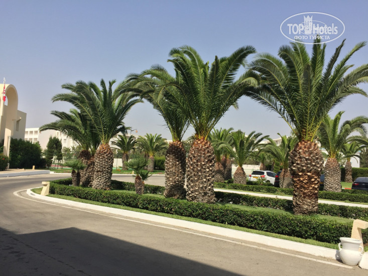 Iberostar Averroes 4* - Фото отеля