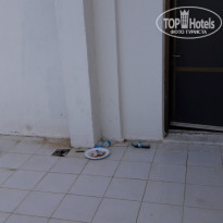 Vista Azur Hotel 4* - Фото отеля