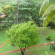 Фото Sea View Beach Resort