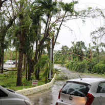 Riu Naiboa 4* Последствия урагана - Фото отеля