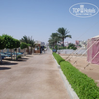 Zahabia Hotel & Beach Resort 4* Дорога с пляжа. - Фото отеля