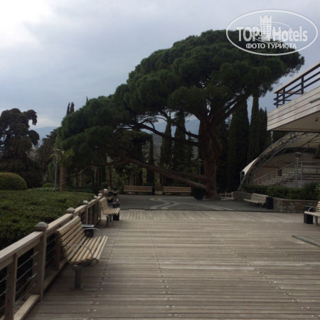 Green Park Yalta-Intourist 4* - Фото отеля