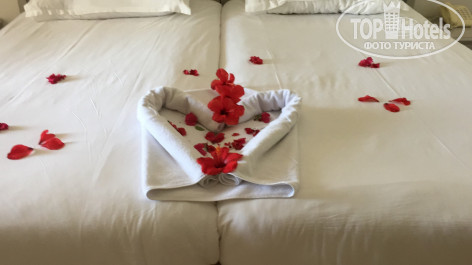 Iberostar Averroes 4* - Фото отеля