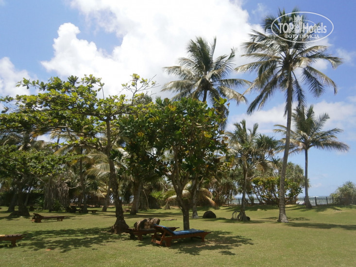 Cinnamon Bentota Beach 4* - Фото отеля