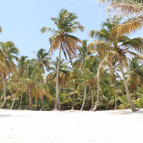 Catalonia Bavaro Beach, Golf & Casino Resort 5* - Фото отеля