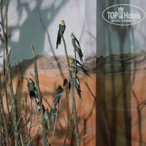 Golden Tulip Sharjah 4* Зоопарк на экскурсии в Аль-Айн - Фото отеля