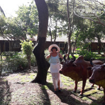 TTC Resort Premium Ninh Thuan 4* - Фото отеля