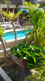 Baan Karon Resort 3* Территория отеля - Фото отеля