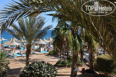 Jewels Sahara Boutique Resort 4* - Фото отеля