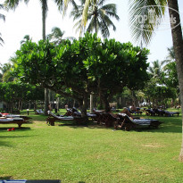Cinnamon Bentota Beach 4* - Фото отеля