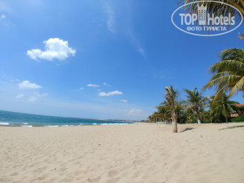 TTC Resort Premium Ninh Thuan 4* - Фото отеля