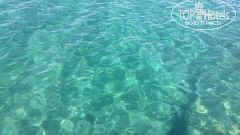 Blue Fish Hotel 4* Цвет моря - просто изумительный, чистое, прозрачное, изумрудное!!! - Фото отеля