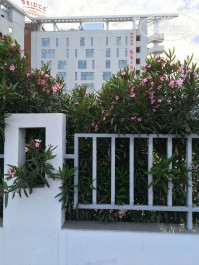 Bridge Resort (Бридж Резорт) 4* - Фото отеля