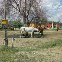 Niko 2* - Фото отеля