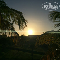 Memories Varadero Beach Resort 4* Такая красота каждое утро встречала нас! - Фото отеля