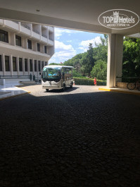 Zeynep Hotel 5* Наш любимый автобус - Фото отеля