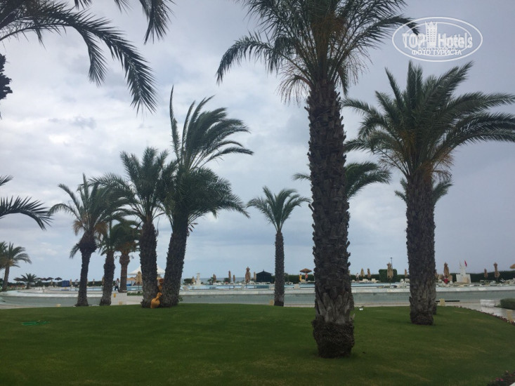 Iberostar Averroes 4* - Фото отеля