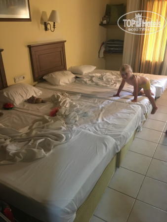 Green Paradise Beach Hotel 4* - Фото отеля