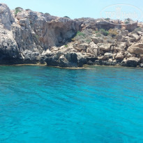 Экскурсия морское сафари