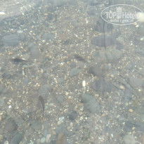 Санаторий Кирова Чистейшая вода в Ливадии. Можно разглядеть рыбок - Фото отеля