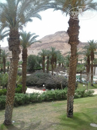David Dead Sea Resort & Spa 5* - Фото отеля