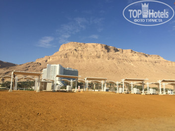 David Dead Sea Resort & Spa 5* - Фото отеля