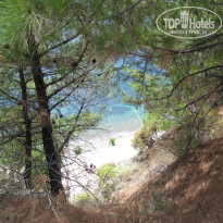 Pineta Club Hotel 4* Нирвана Бич - Фото отеля