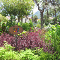 Pineta Club Hotel 4* Детский научный парк в Ичмелере - кусочек тематического сада - Фото отеля