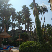 Green Paradise Beach Hotel 4* - Фото отеля