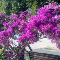 Grand Seker 4* - Фото отеля